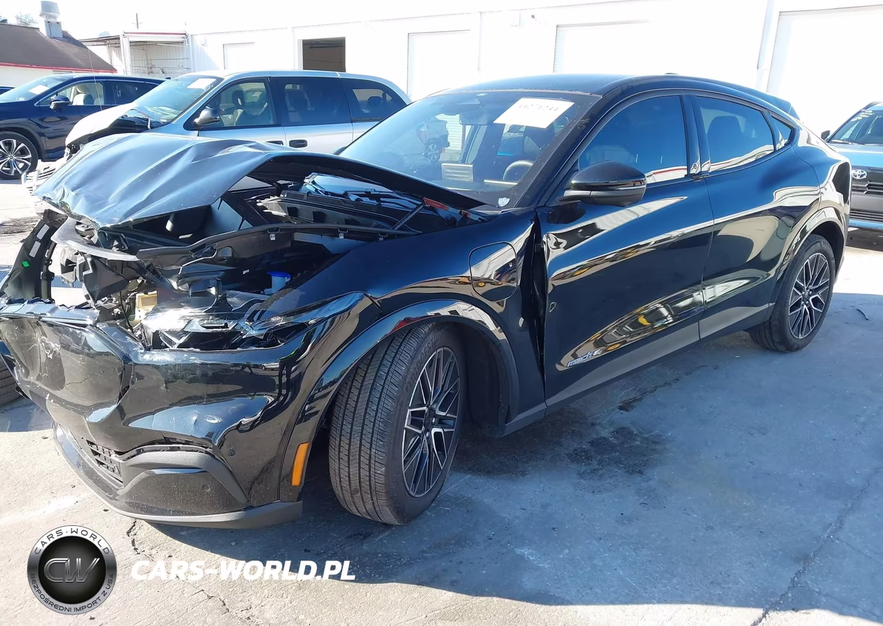 2025 Ford Mustang Mach-E Premium VIN:3FMTK3SU0SMA11021 - 2