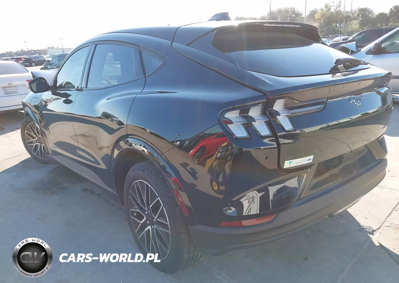 2025 Ford Mustang Mach-E Premium VIN:3FMTK3SU0SMA11021 - 3