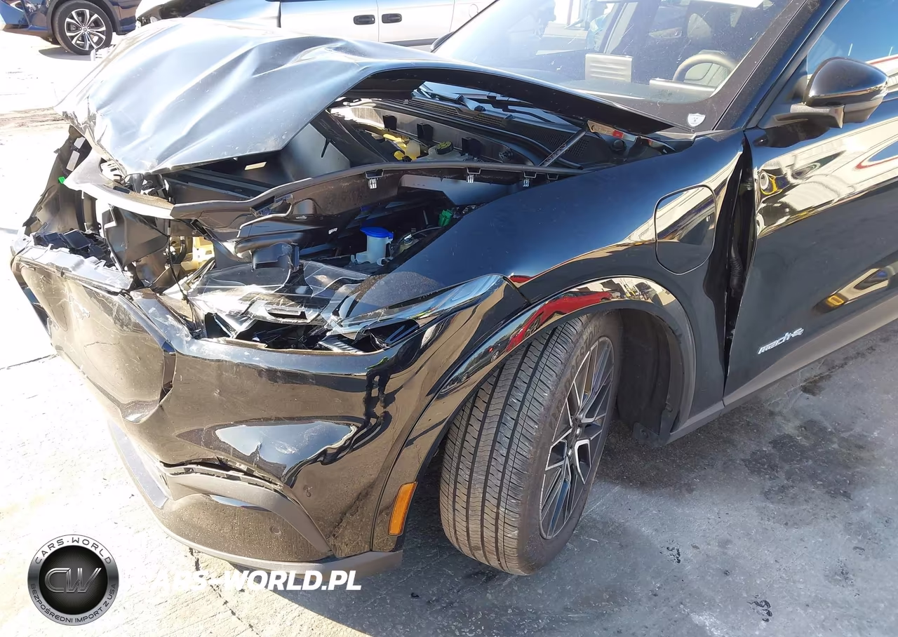 2025 Ford Mustang Mach-E Premium VIN:3FMTK3SU0SMA11021 - 6