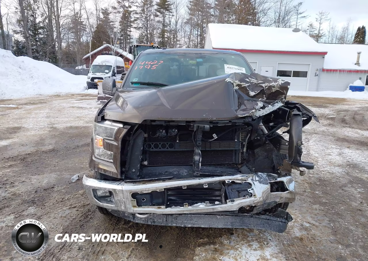 2015 Ford F-150 Xlt VIN:1FTEW1EP0FFC66107 - 12