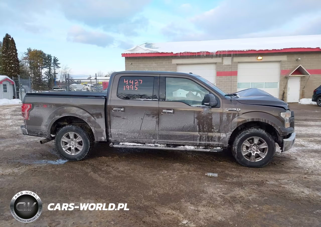 2015 Ford F-150 Xlt VIN:1FTEW1EP0FFC66107 - 13