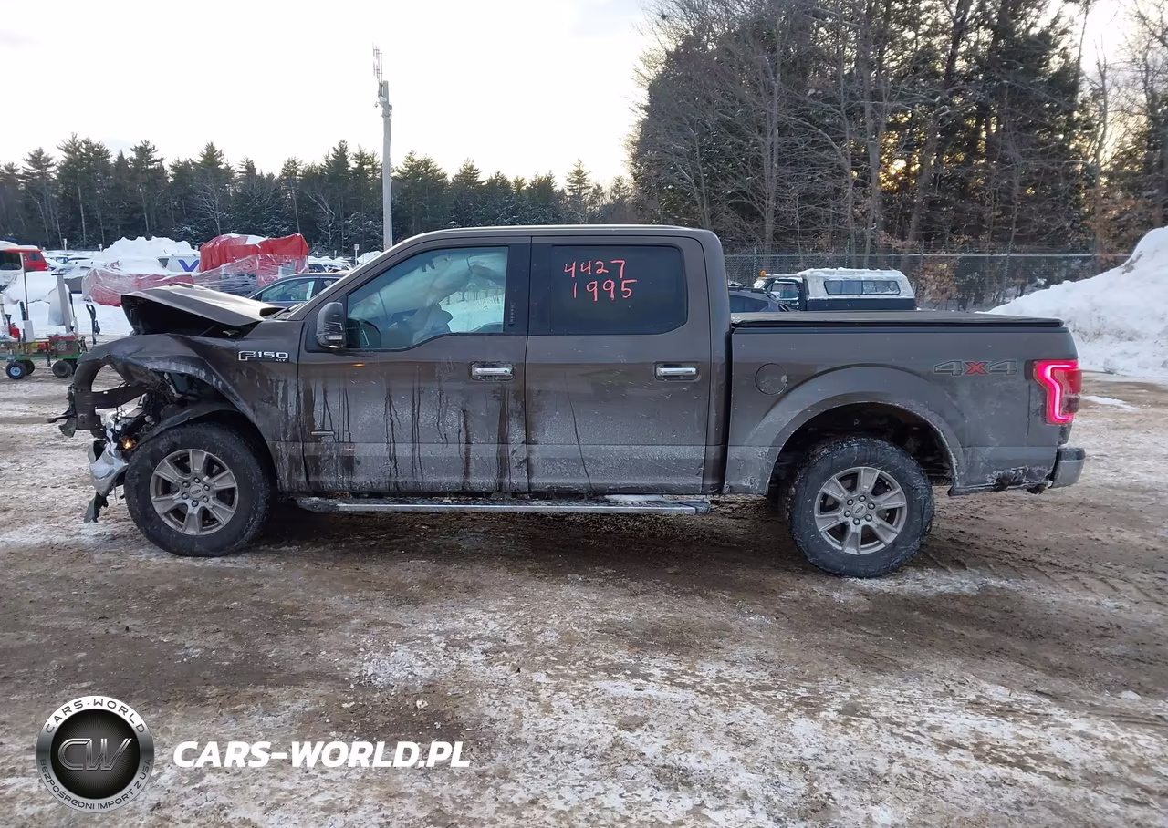 2015 Ford F-150 Xlt VIN:1FTEW1EP0FFC66107 - 14