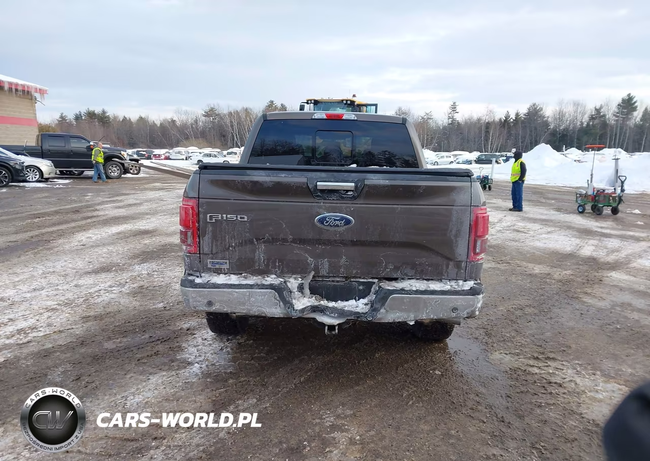 2015 Ford F-150 Xlt VIN:1FTEW1EP0FFC66107 - 16