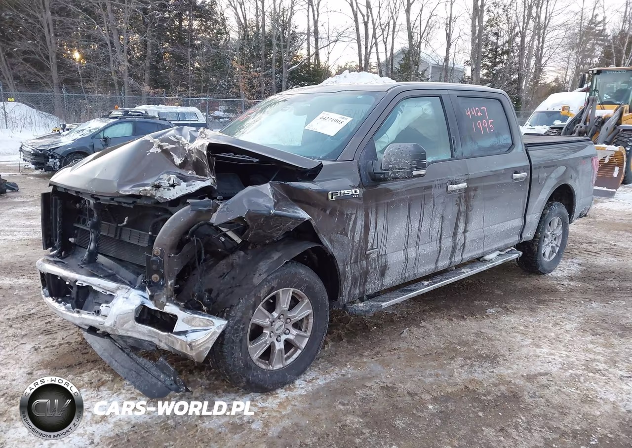 2015 Ford F-150 Xlt VIN:1FTEW1EP0FFC66107 - 18