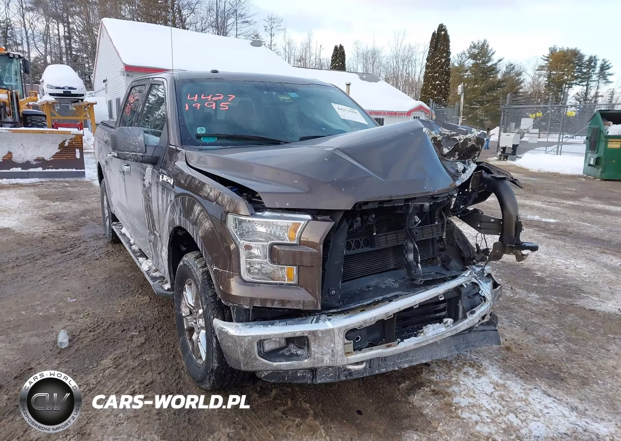 2015 Ford F-150 Xlt VIN:1FTEW1EP0FFC66107 - 19