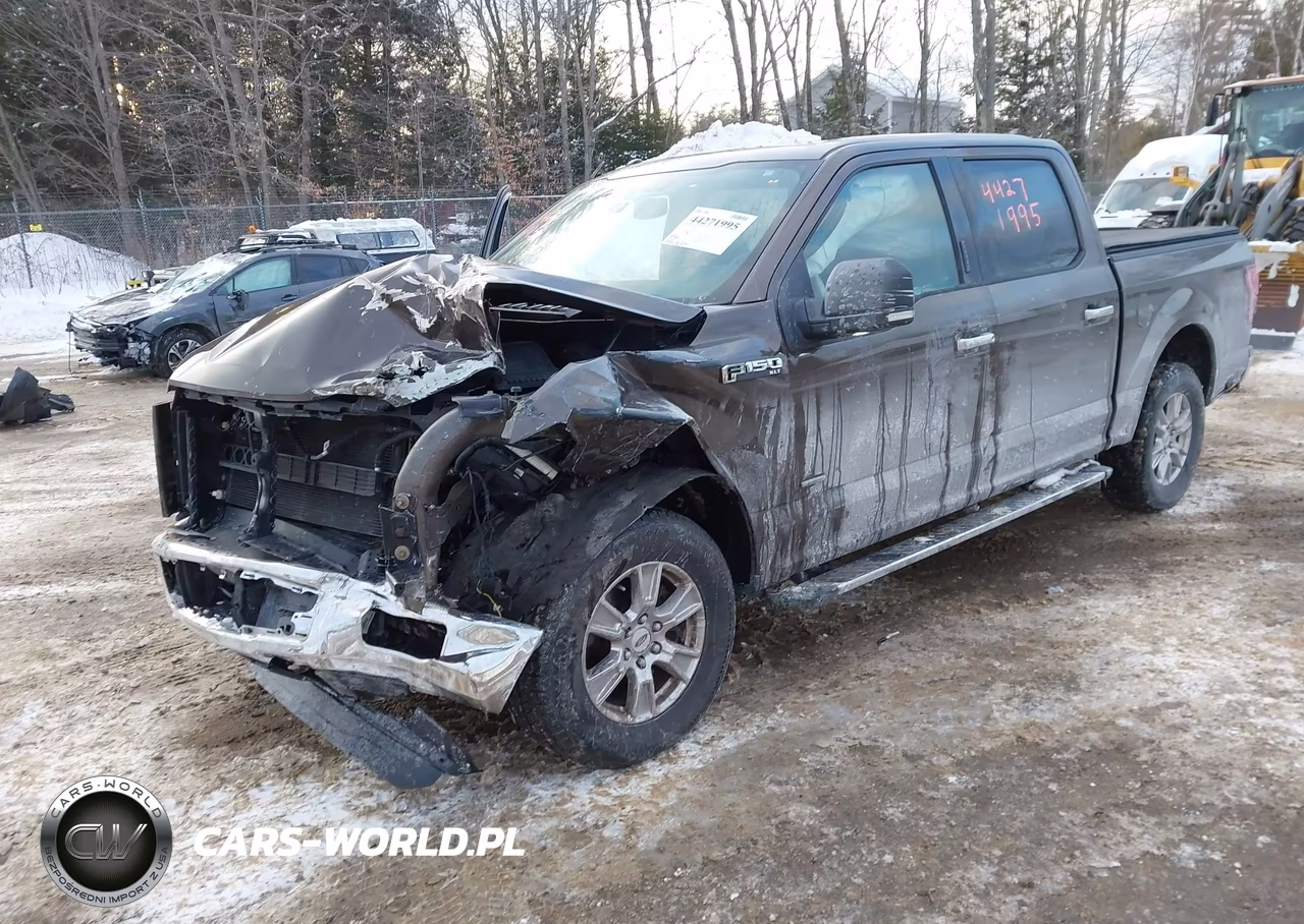 2015 Ford F-150 Xlt VIN:1FTEW1EP0FFC66107 - 2