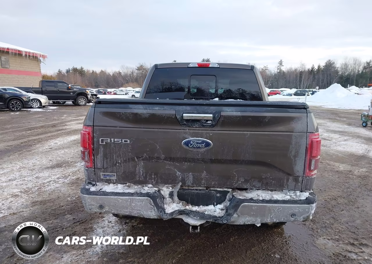 2015 Ford F-150 Xlt VIN:1FTEW1EP0FFC66107 - 21