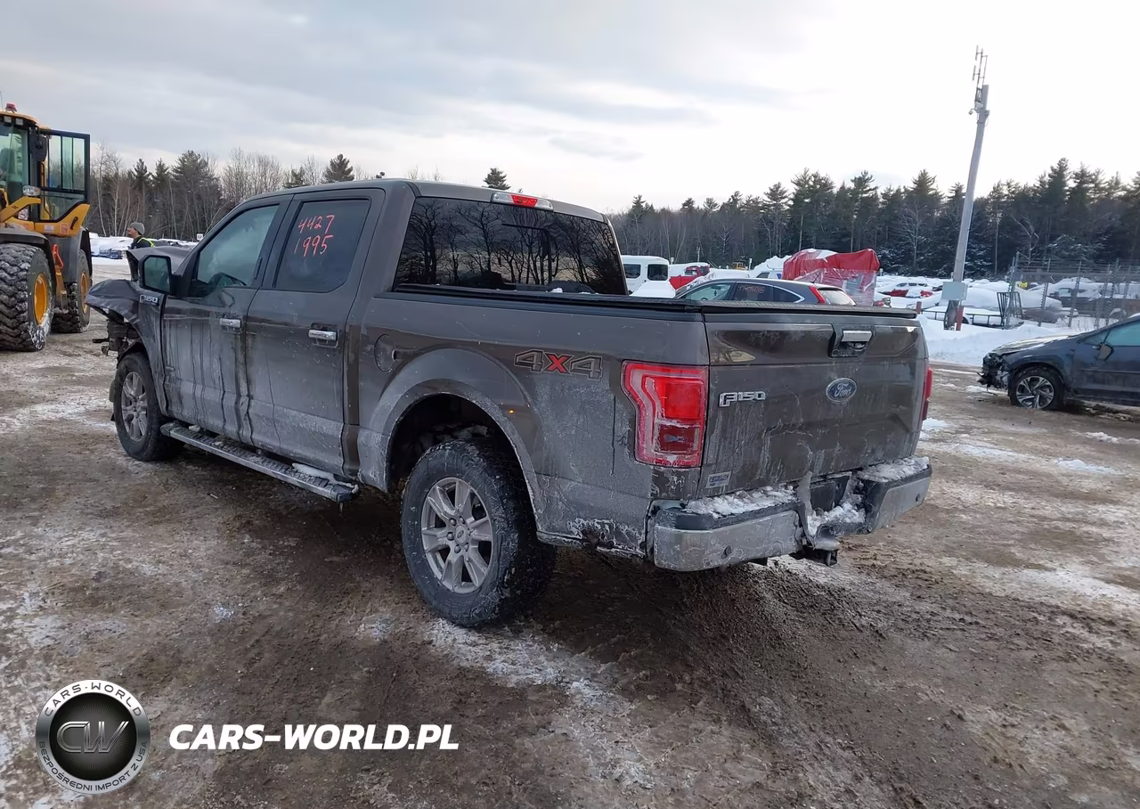 2015 Ford F-150 Xlt VIN:1FTEW1EP0FFC66107 - 3