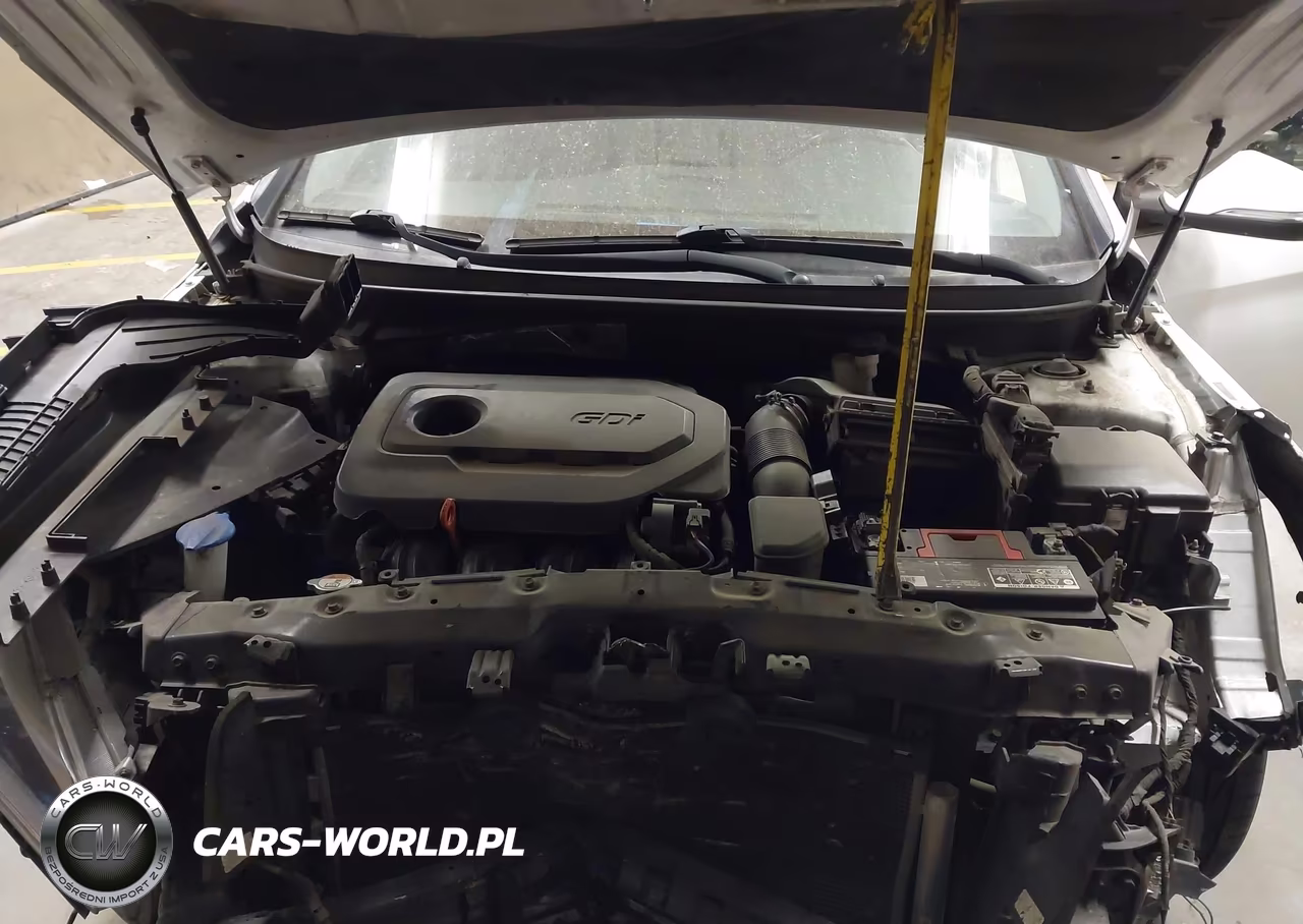2016 Hyundai Sonata Sport VIN:5NPE34AF2GH398459 - 10