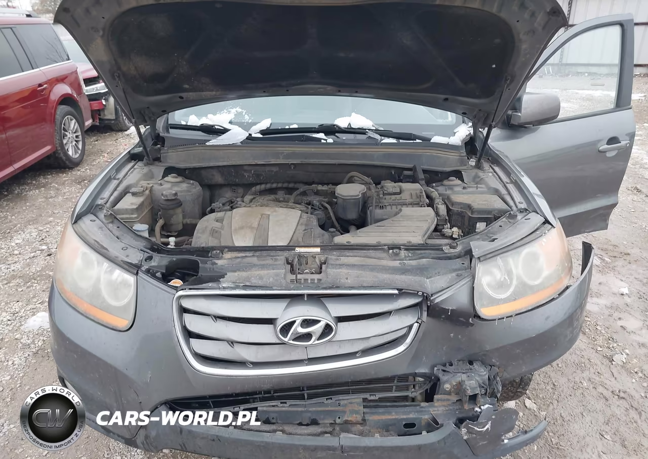 2010 Hyundai Santa Fe Se VIN:5NMSHDAG2AH414032 - 10