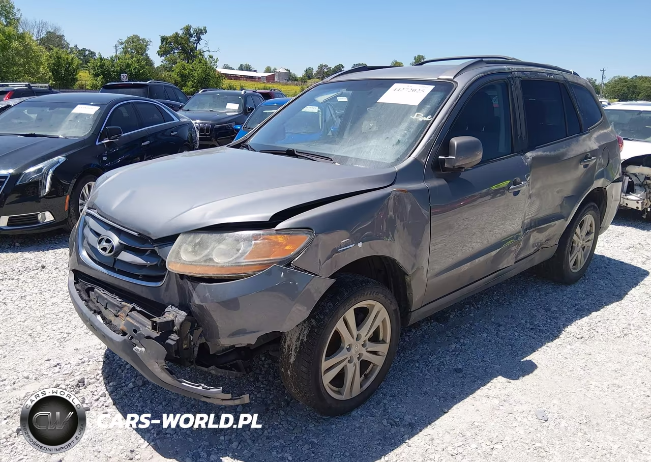 2010 Hyundai Santa Fe Se VIN:5NMSHDAG2AH414032 - 2