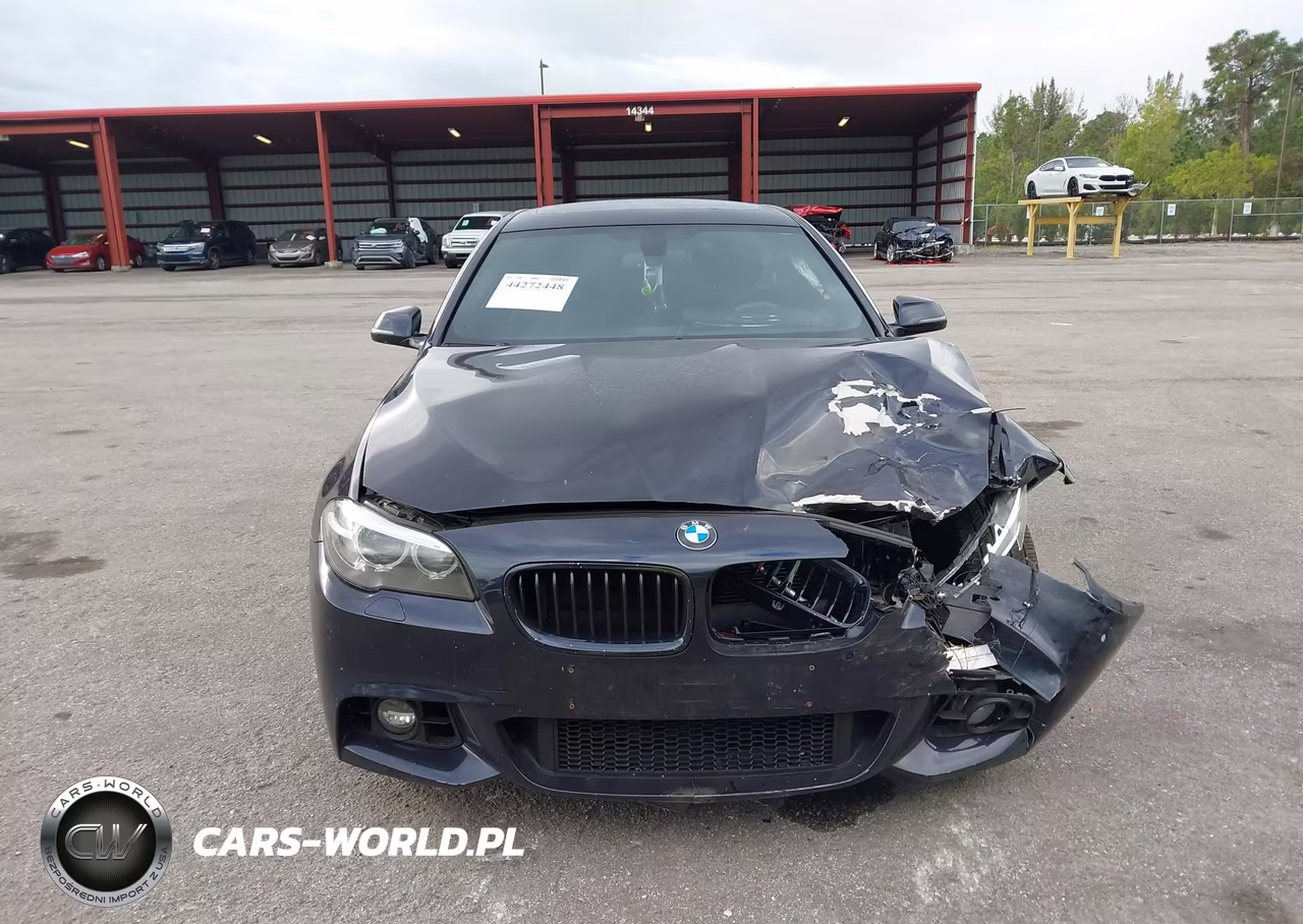 2016 BMW 528I VIN:WBA5A5C55GG353873 - 12