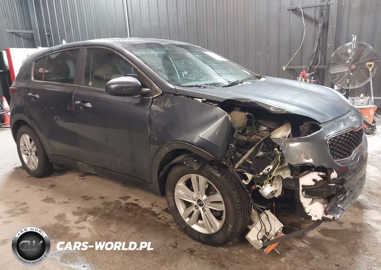2017 Kia Sportage Lx VIN:KNDPM3AC0H7074695 - 6