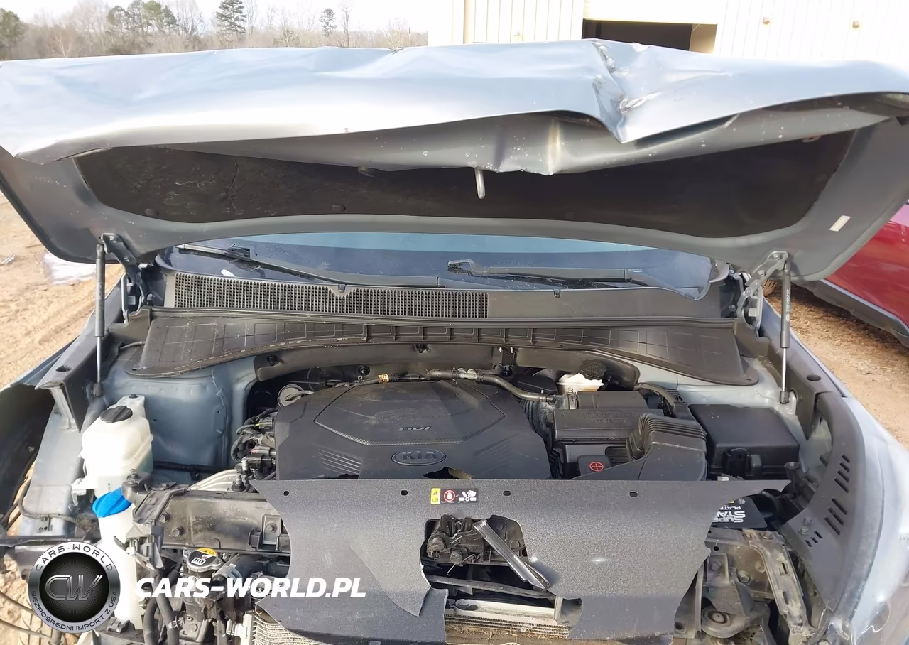 2020 Kia Sorento 3.3L Lx VIN:5XYPG4A58LG663813 - 10