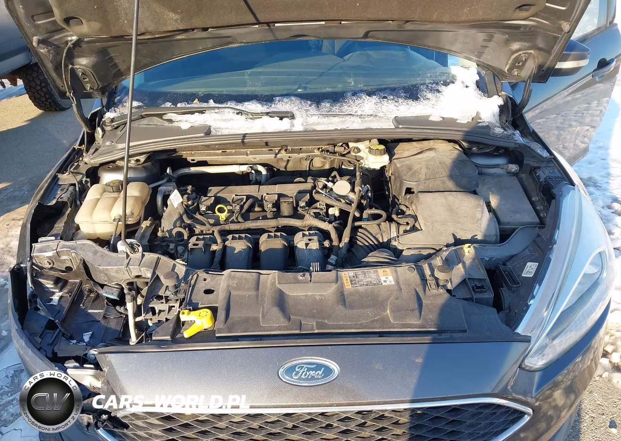 2017 Ford Focus Se VIN:1FADP3K25HL215726 - 10