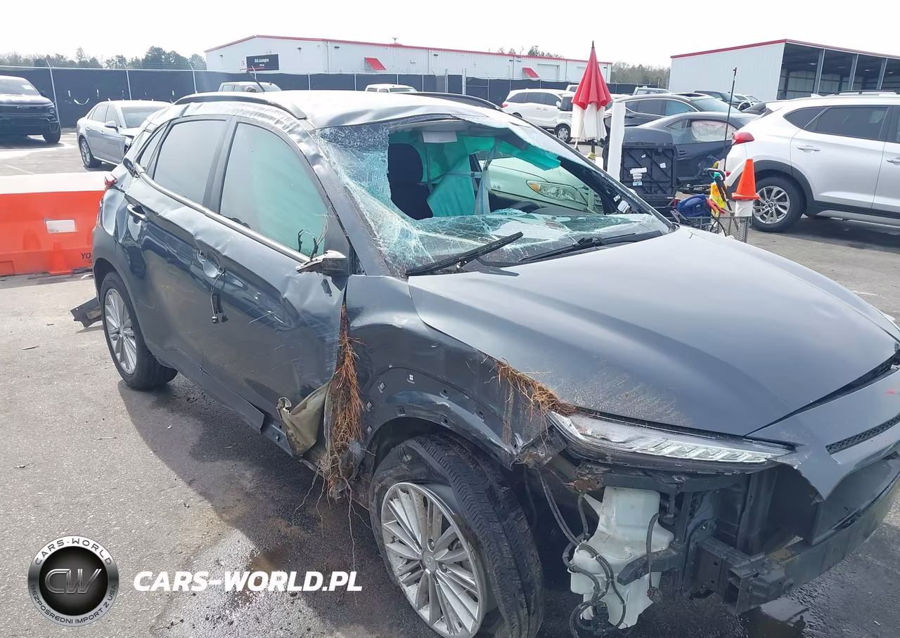 2018 Hyundai Kona Sel VIN:KM8K22AA5JU146678 - 6