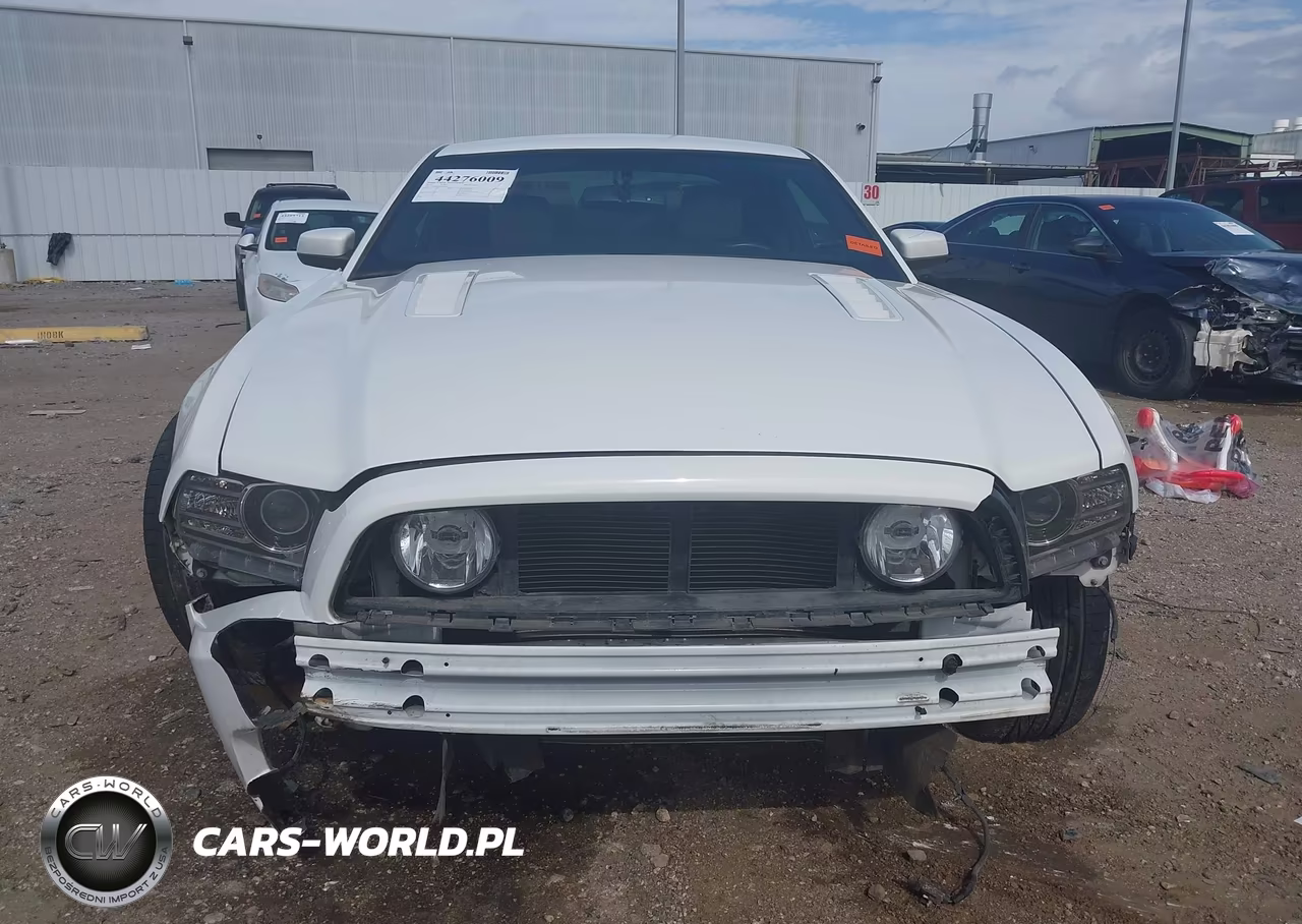 2013 Ford Mustang Gt Premium VIN:1ZVBP8CF9D5282003 - 13