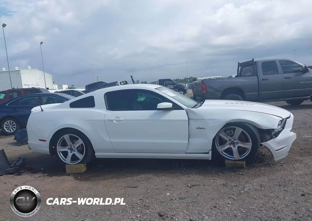 2013 Ford Mustang Gt Premium VIN:1ZVBP8CF9D5282003 - 14