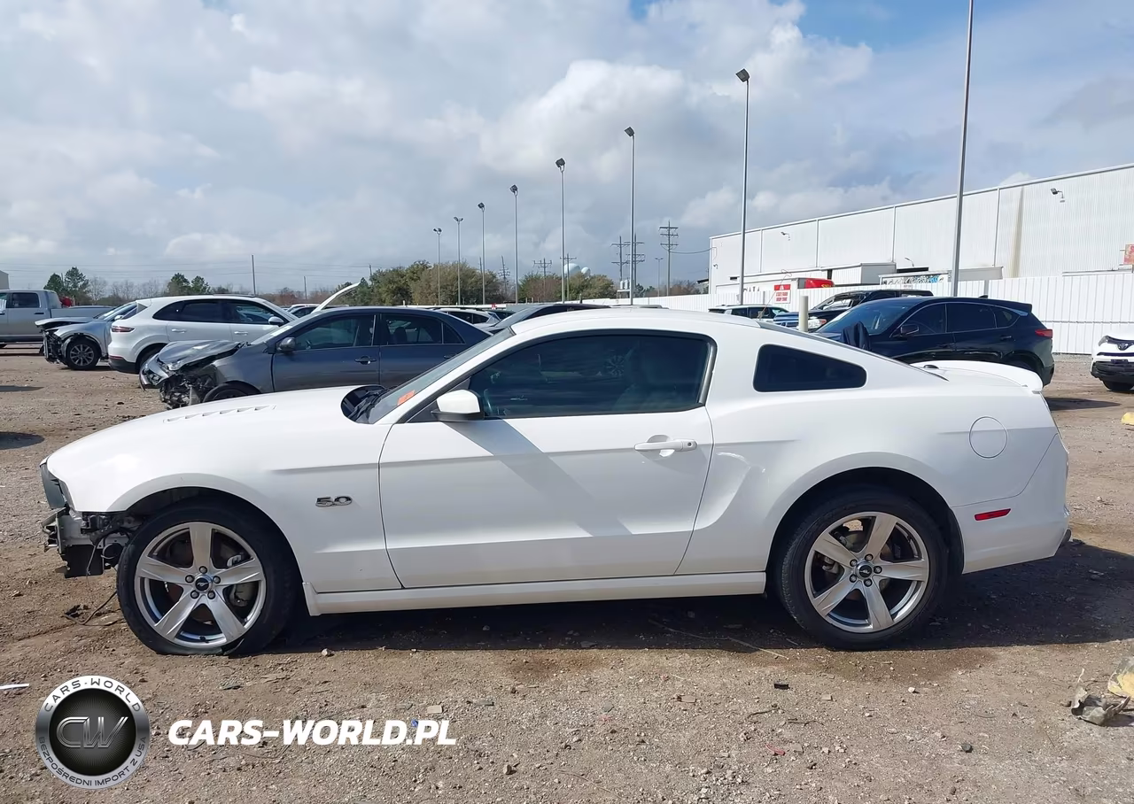 2013 Ford Mustang Gt Premium VIN:1ZVBP8CF9D5282003 - 15