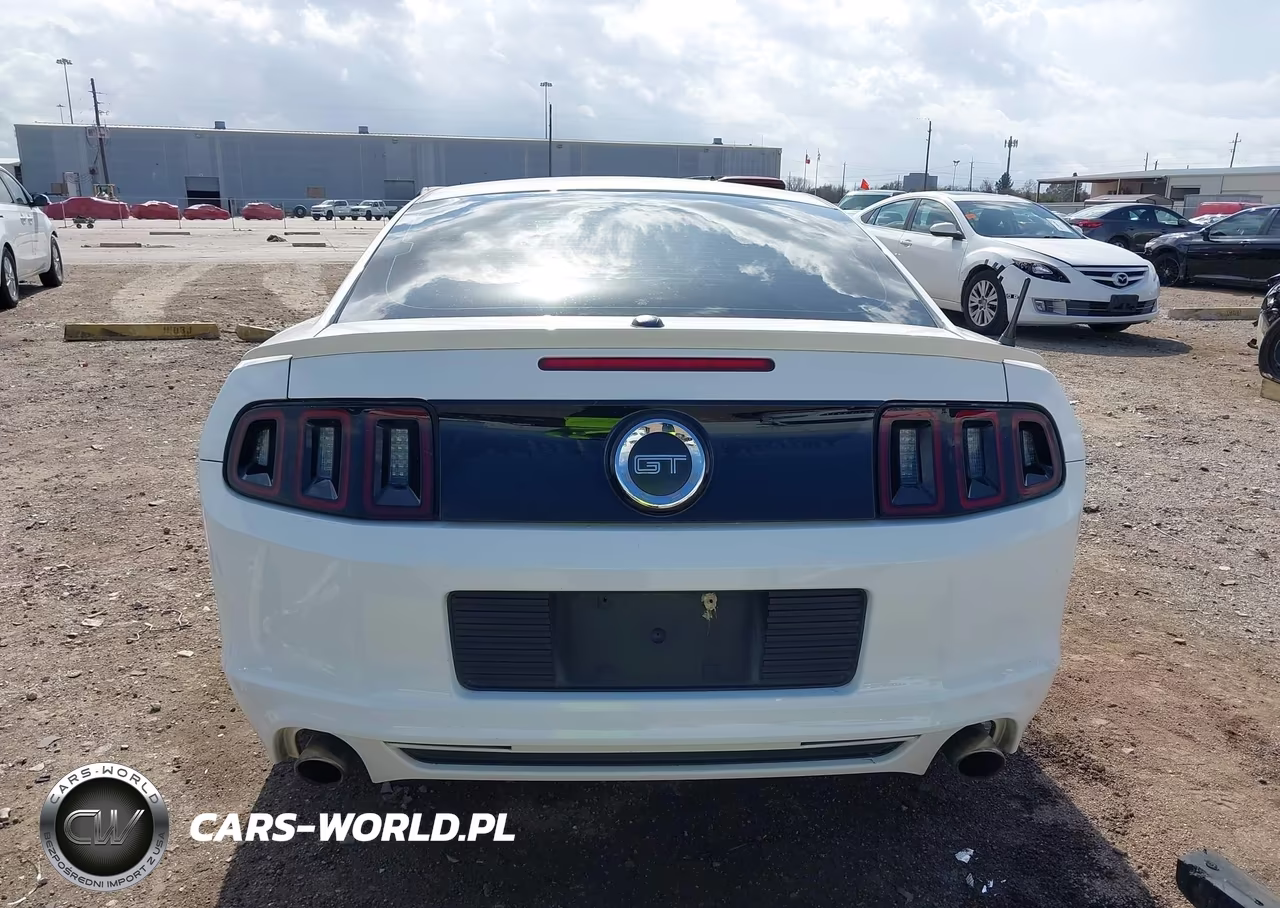2013 Ford Mustang Gt Premium VIN:1ZVBP8CF9D5282003 - 17