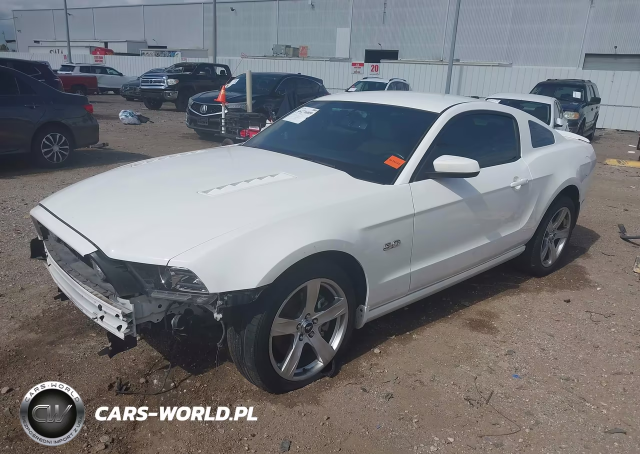 2013 Ford Mustang Gt Premium VIN:1ZVBP8CF9D5282003 - 2