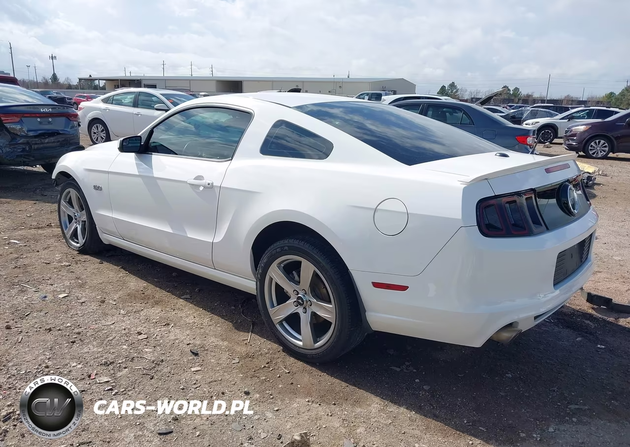 2013 Ford Mustang Gt Premium VIN:1ZVBP8CF9D5282003 - 3