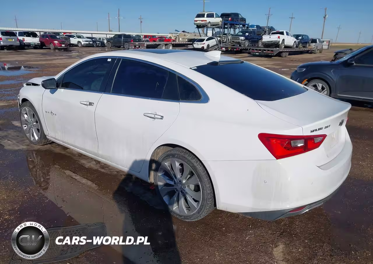 2018 Chevrolet Malibu Premier VIN:1G1ZE5SXXJF224335 - 3