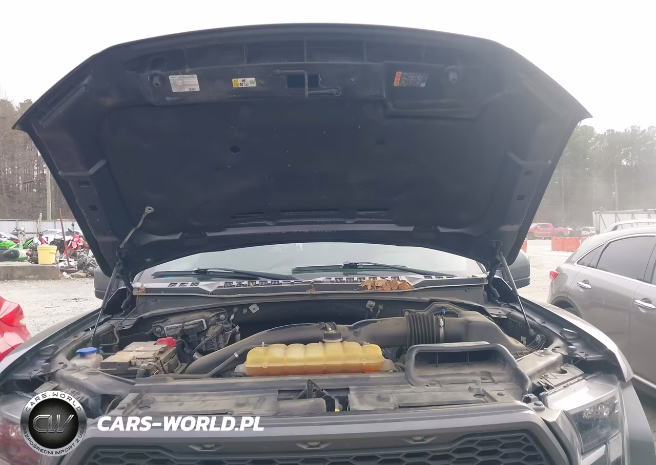 2018 Ford F-150 Raptor VIN:1FTFW1RG6JFB27574 - 10