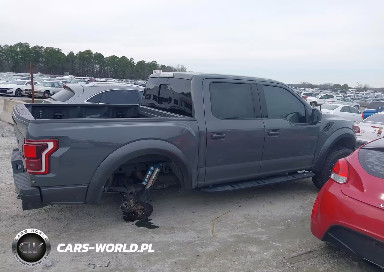 2018 Ford F-150 Raptor VIN:1FTFW1RG6JFB27574 - 13