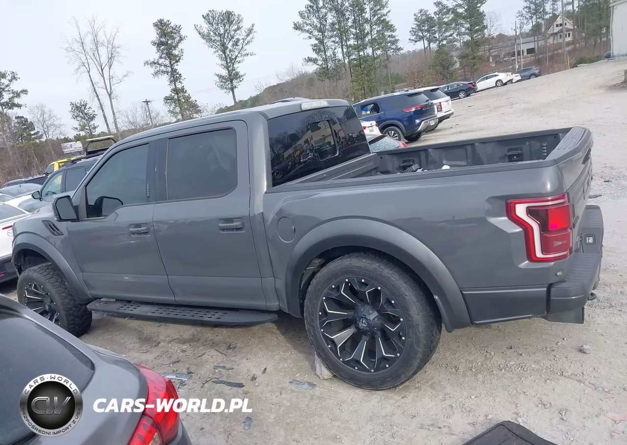 2018 Ford F-150 Raptor VIN:1FTFW1RG6JFB27574 - 14