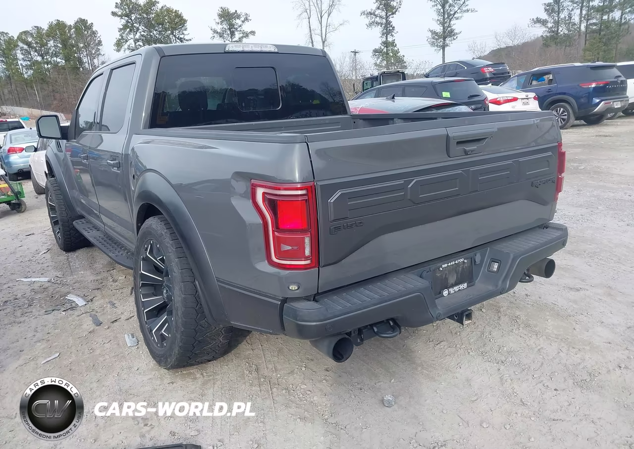 2018 Ford F-150 Raptor VIN:1FTFW1RG6JFB27574 - 3