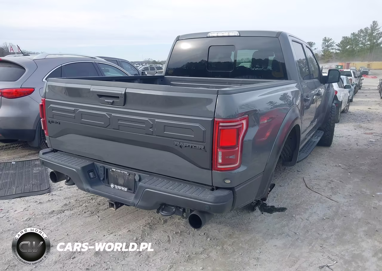 2018 Ford F-150 Raptor VIN:1FTFW1RG6JFB27574 - 4