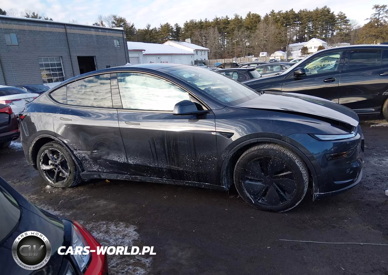 2026 Tesla Model Y Long Range Launch Series-Premium All-Wheel Drive VIN:7SAYGDEEXTA384806 - 13