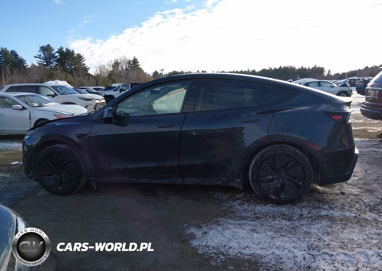 2026 Tesla Model Y Long Range Launch Series-Premium All-Wheel Drive VIN:7SAYGDEEXTA384806 - 14