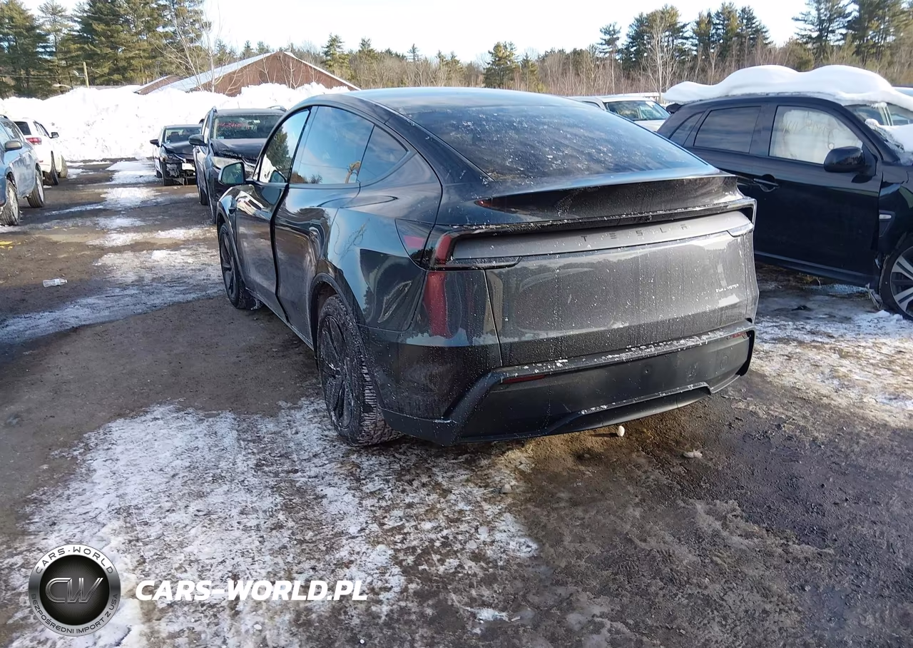 2026 Tesla Model Y Long Range Launch Series-Premium All-Wheel Drive VIN:7SAYGDEEXTA384806 - 3