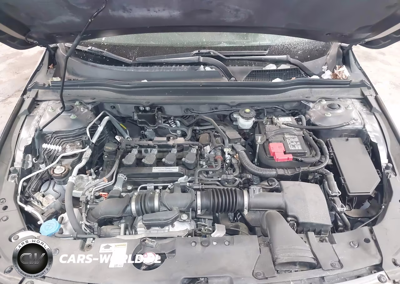2019 Honda Accord Ex VIN:1HGCV1F45KA166009 - 10