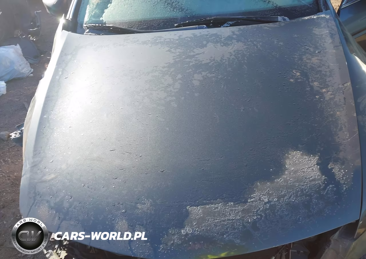 2009 Honda Accord 2.4 Lx-S VIN:1HGCS12329A017220 - 10