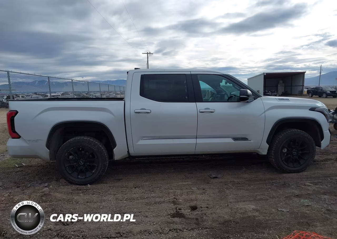 2024 Toyota Tundra Hybrid 1794 Limited Edition 4Wd VIN:5TFWC5DB3RX073216 - 13