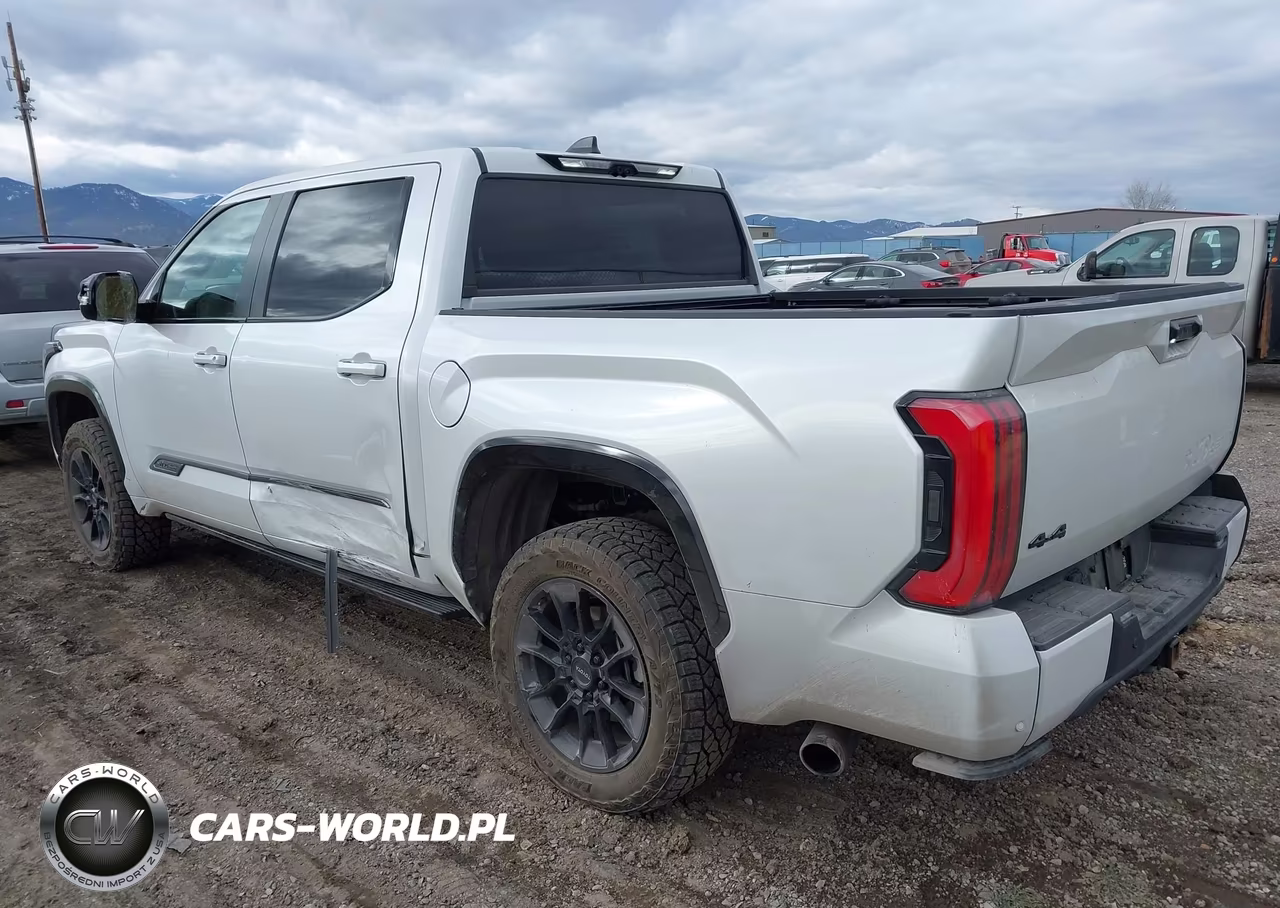 2024 Toyota Tundra Hybrid 1794 Limited Edition 4Wd VIN:5TFWC5DB3RX073216 - 3