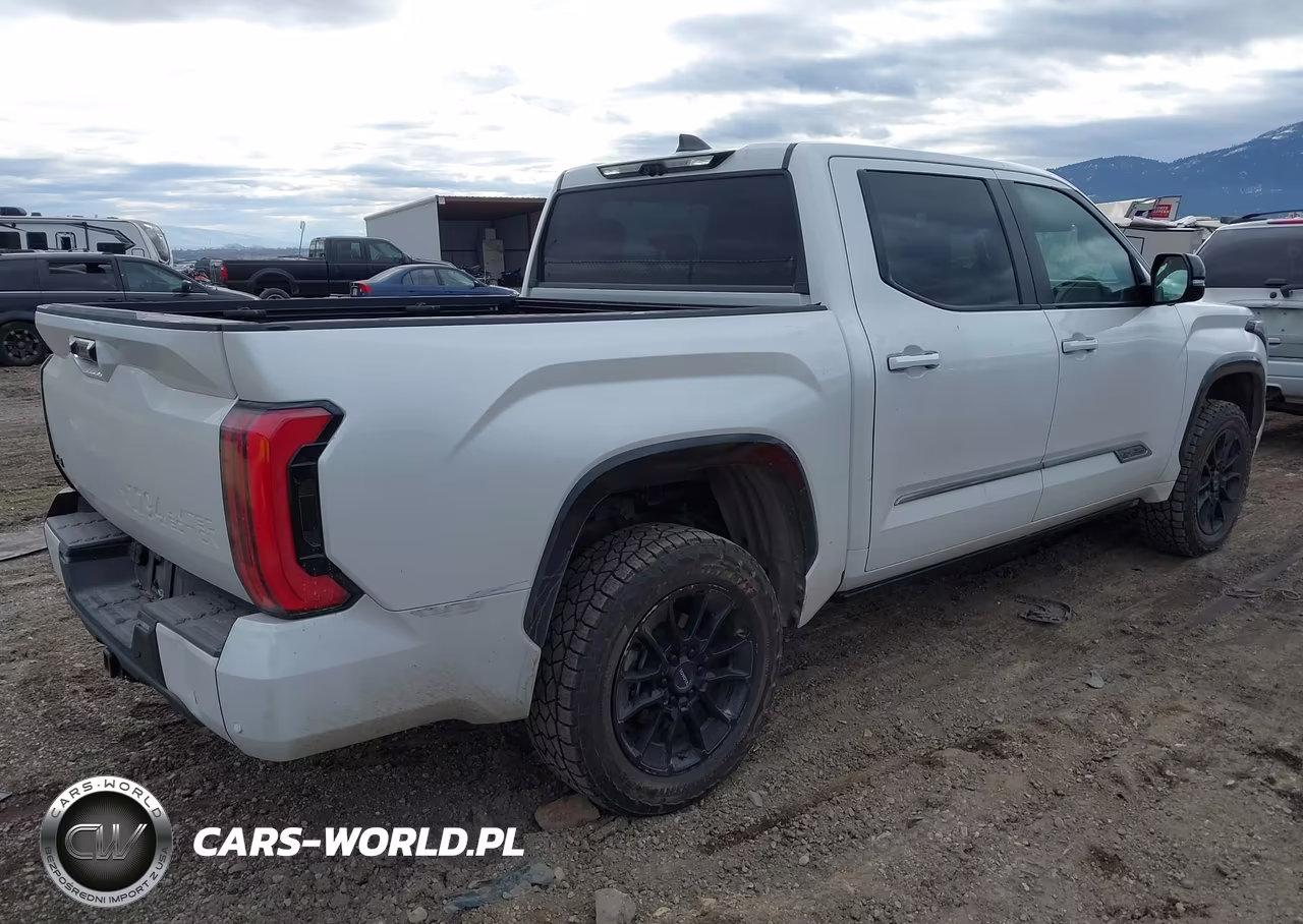 2024 Toyota Tundra Hybrid 1794 Limited Edition 4Wd VIN:5TFWC5DB3RX073216 - 4