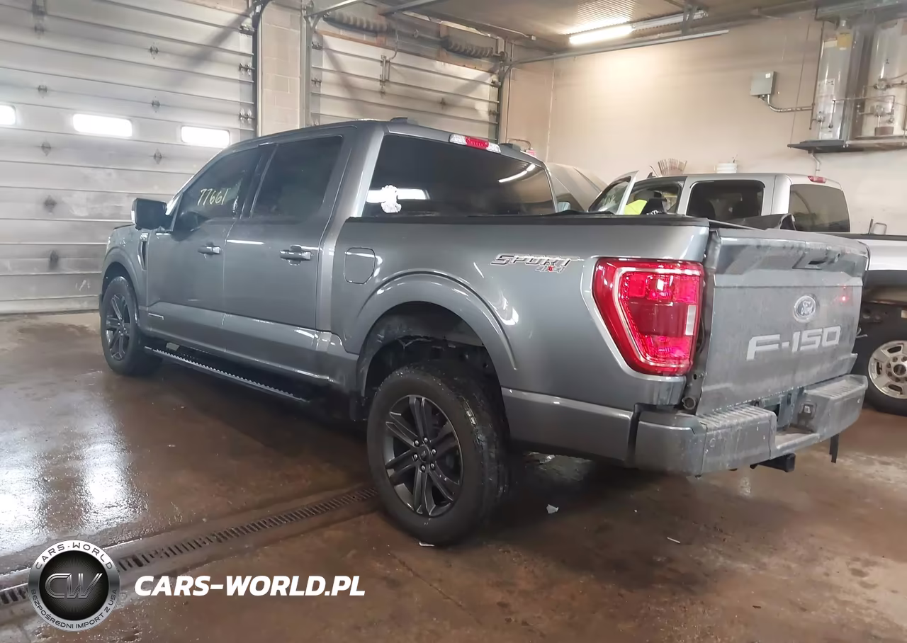 2023 Ford F-150 Xlt VIN:1FTFW1ED8PFD05750 - 3