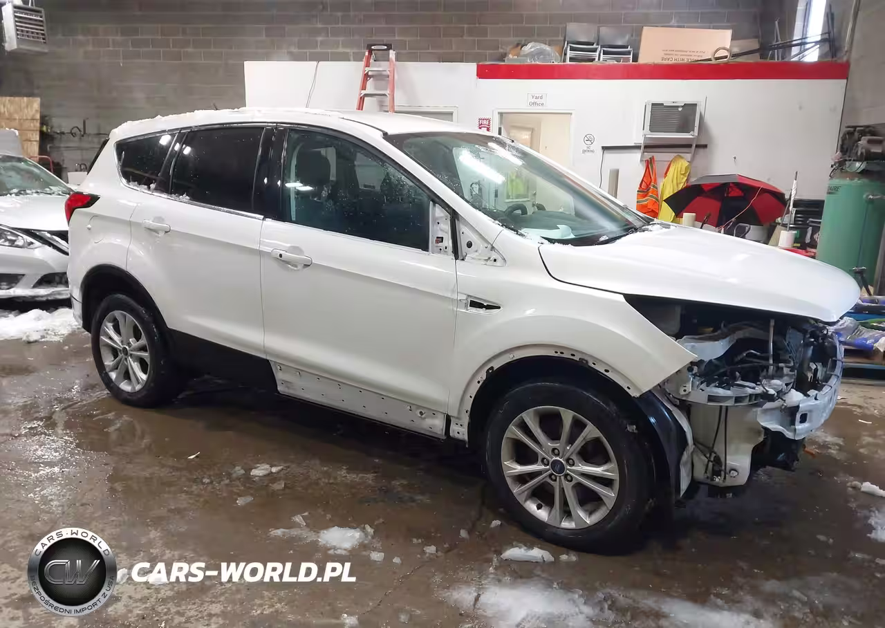 2019 Ford Escape Se
