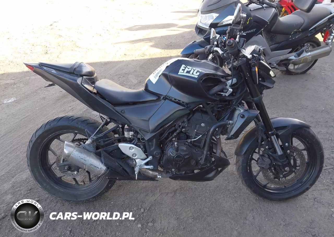 2021 Yamaha Mt-03 VIN:MH3RH20Y8MK004469 - 12
