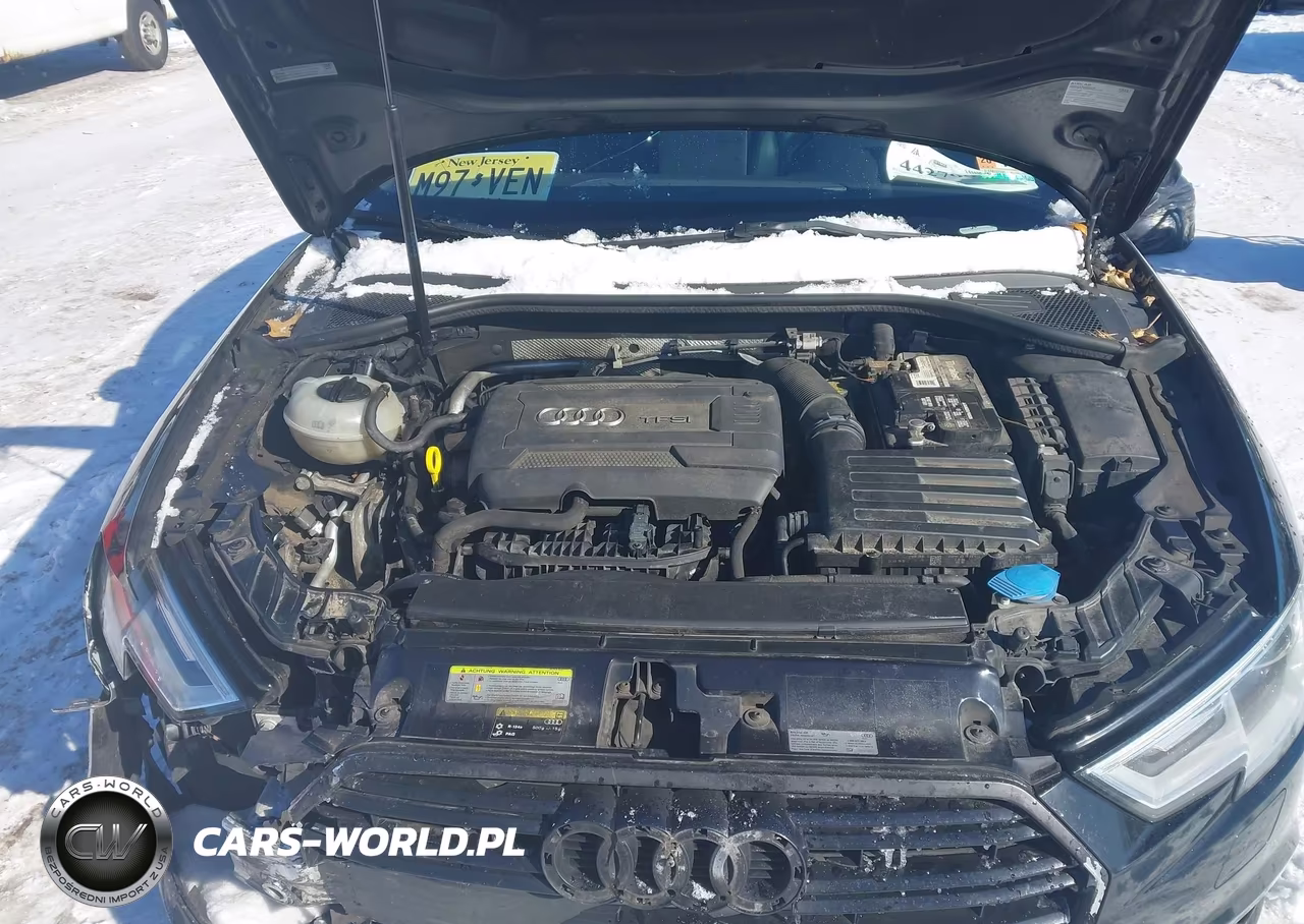 2017 Audi A3 2.0T Premium VIN:WAUB8GFFXH1019504 - 10