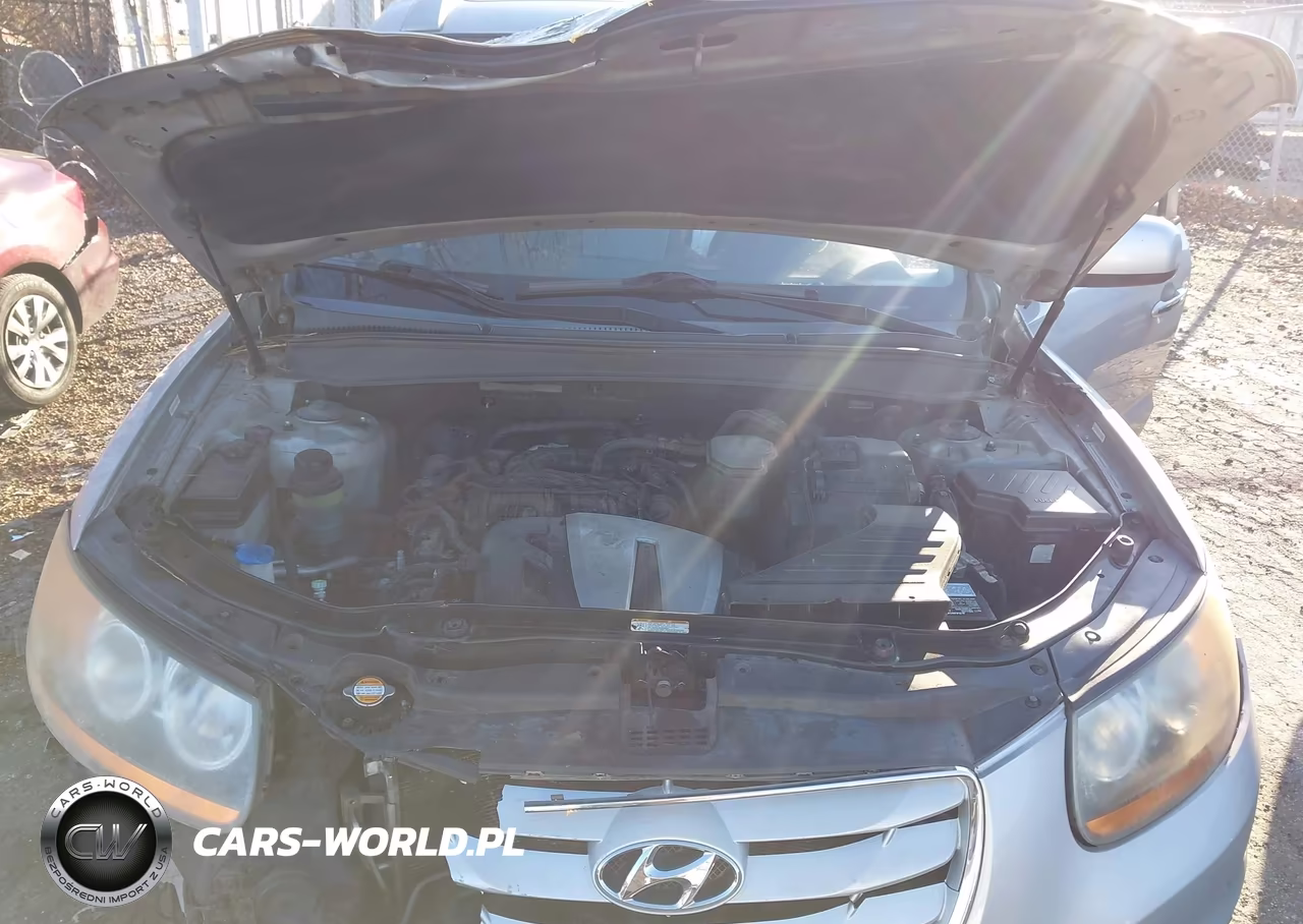 2010 Hyundai Santa Fe Limited V6 VIN:5NMSK4AG6AH384552 - 10