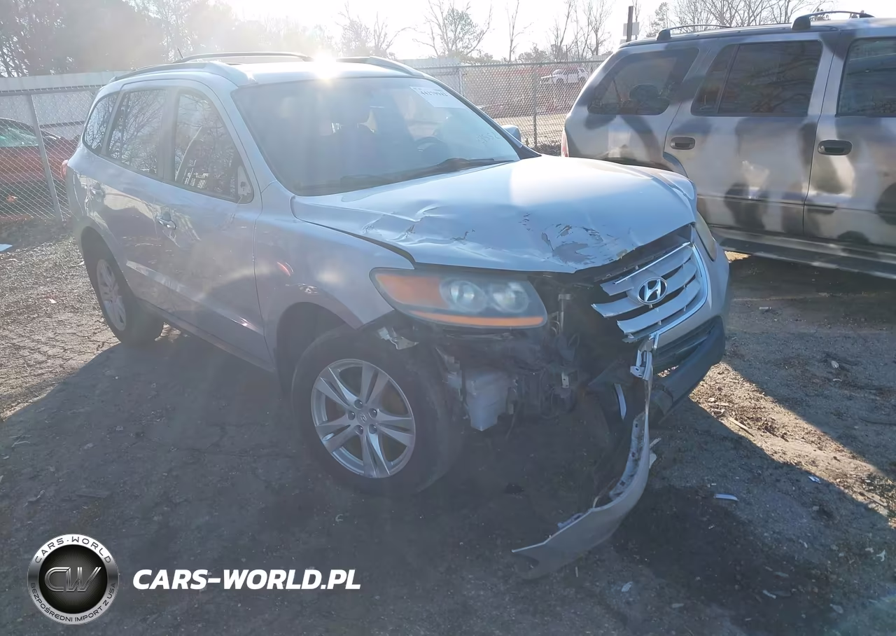 2010 Hyundai Santa Fe Limited V6 VIN:5NMSK4AG6AH384552 - 6
