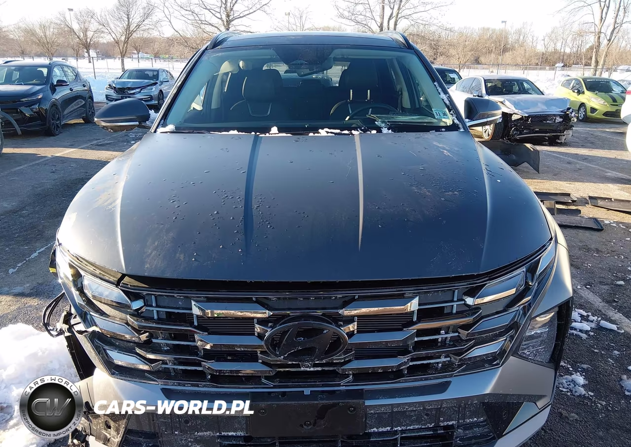 2025 Hyundai Tucson Limited VIN:5NMJECDE4SH538572 - 12