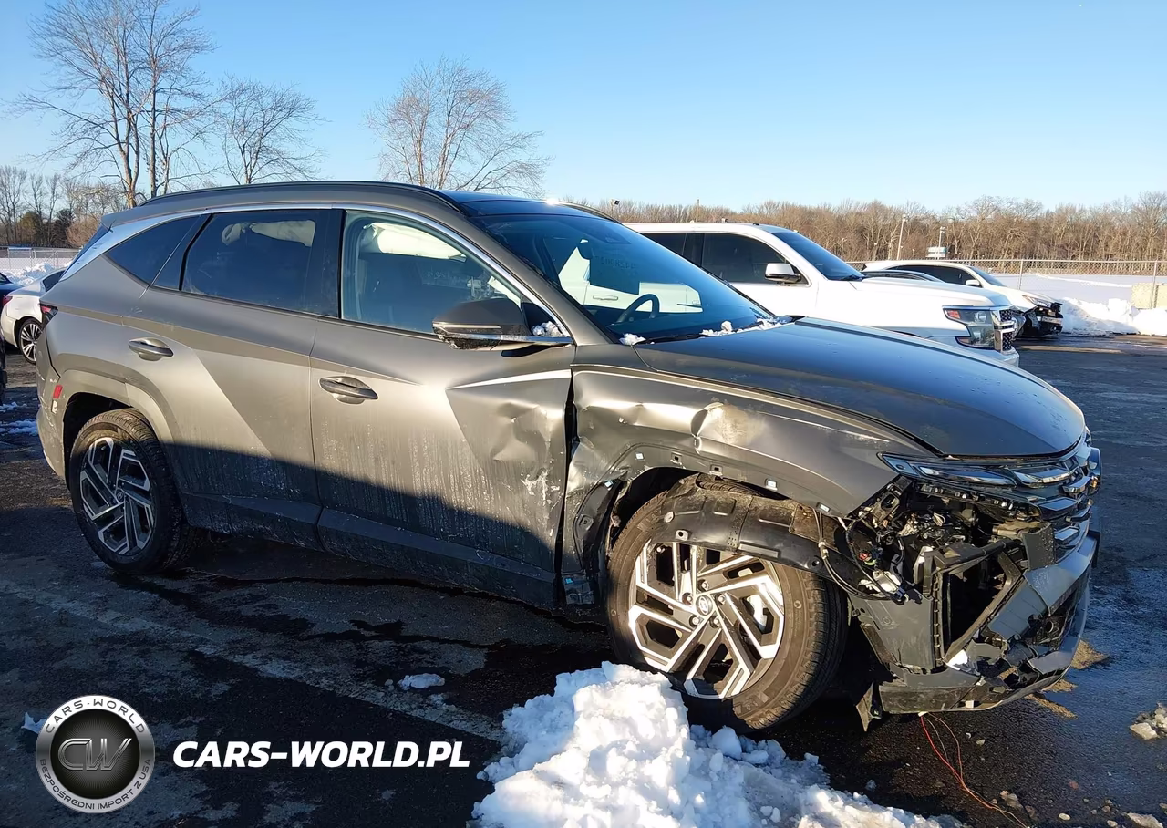 2025 Hyundai Tucson Limited VIN:5NMJECDE4SH538572 - 6
