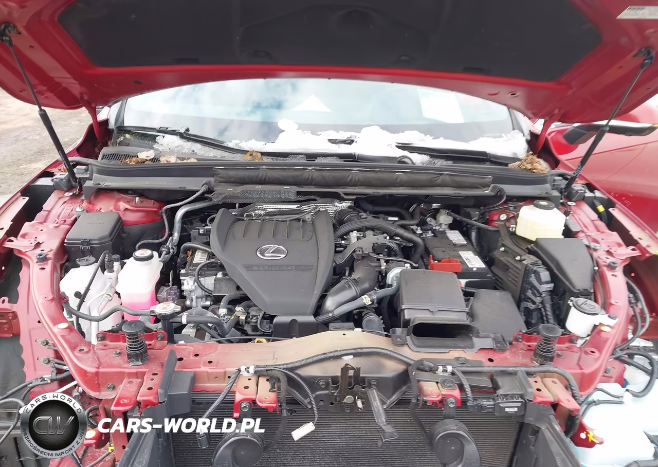 2024 Lexus Rx 350 Premium Plus VIN:2T2BAMCAXRC040389 - 10
