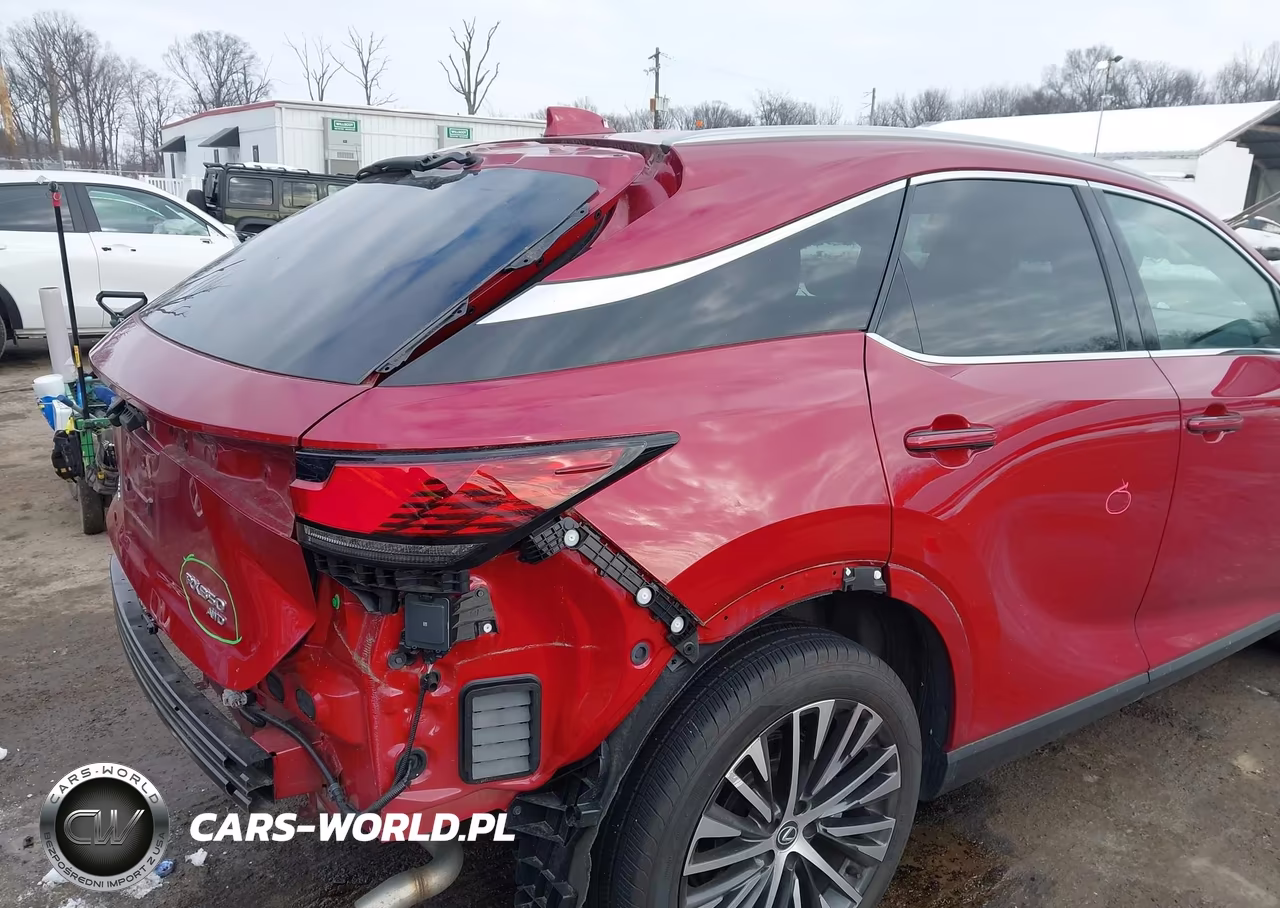 2024 Lexus Rx 350 Premium Plus VIN:2T2BAMCAXRC040389 - 18